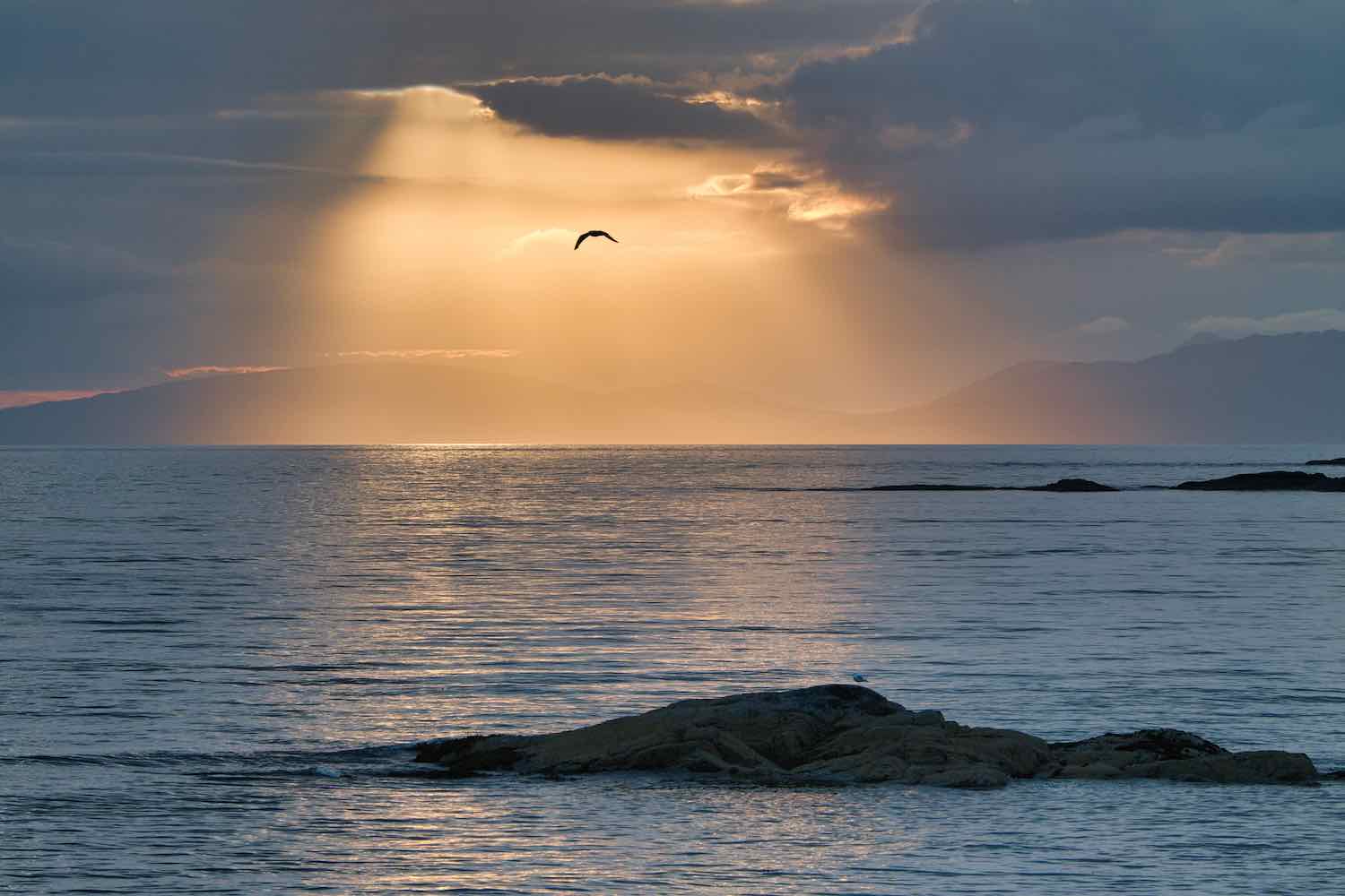  Last Light 