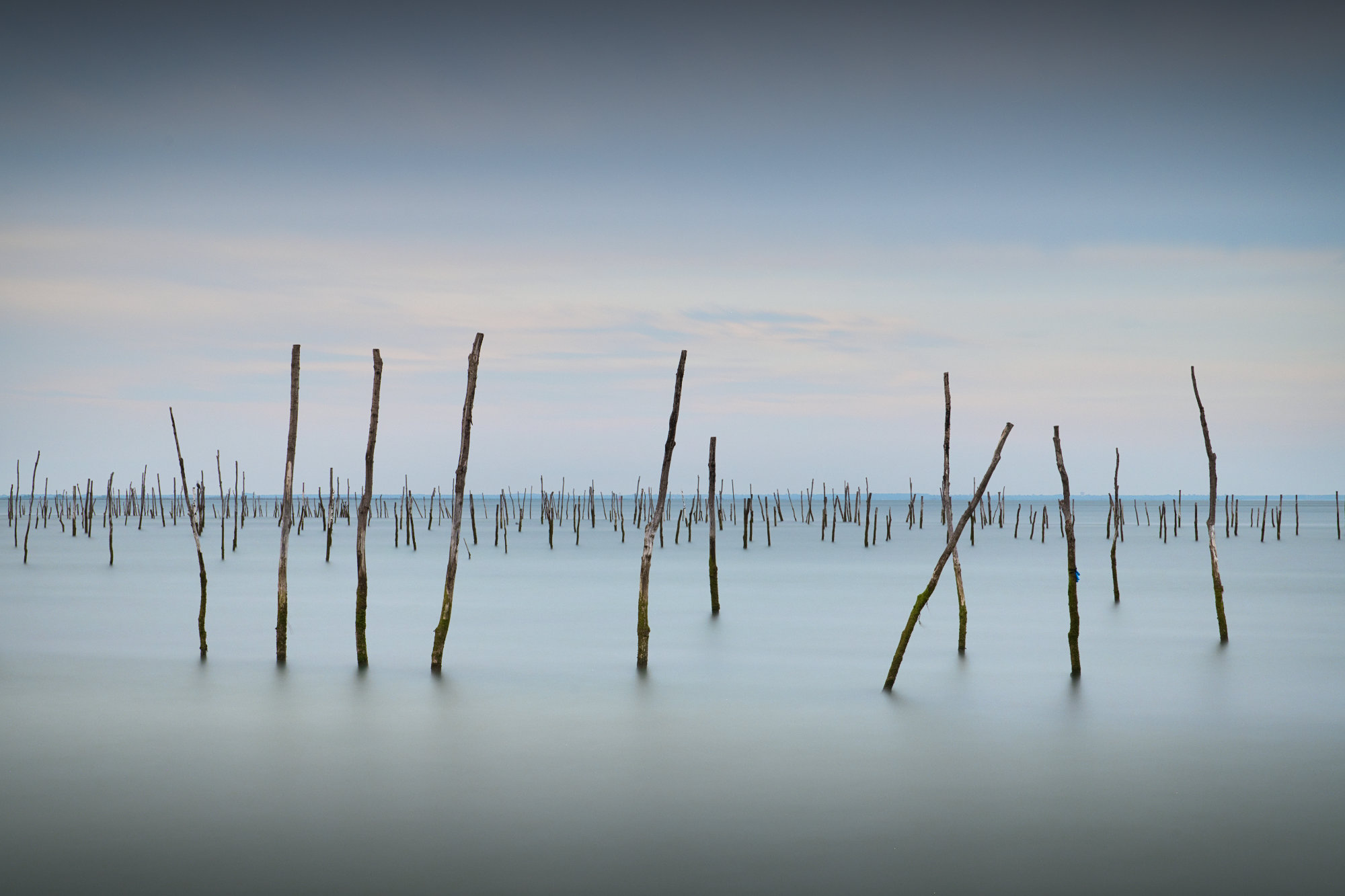  The Oyster Beds 