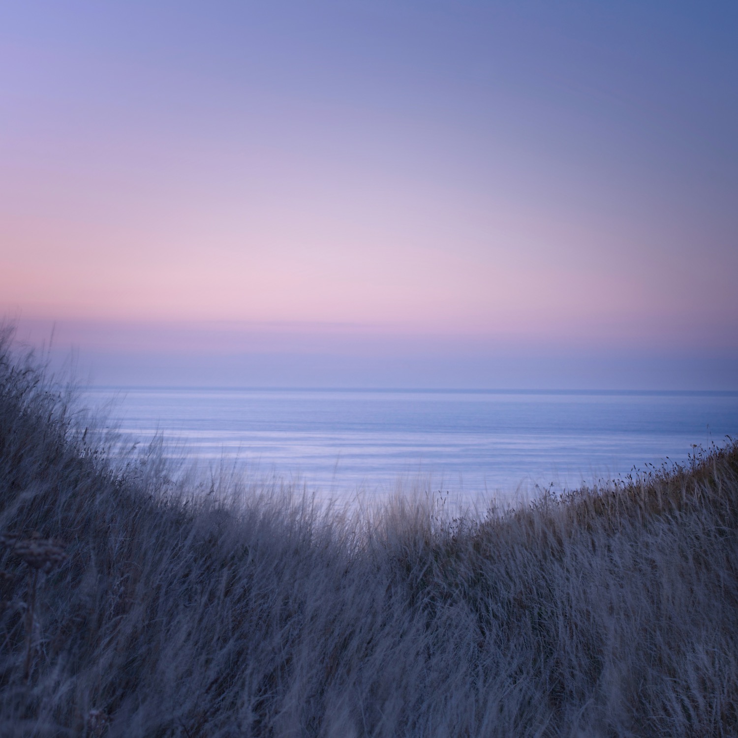  Twilight 