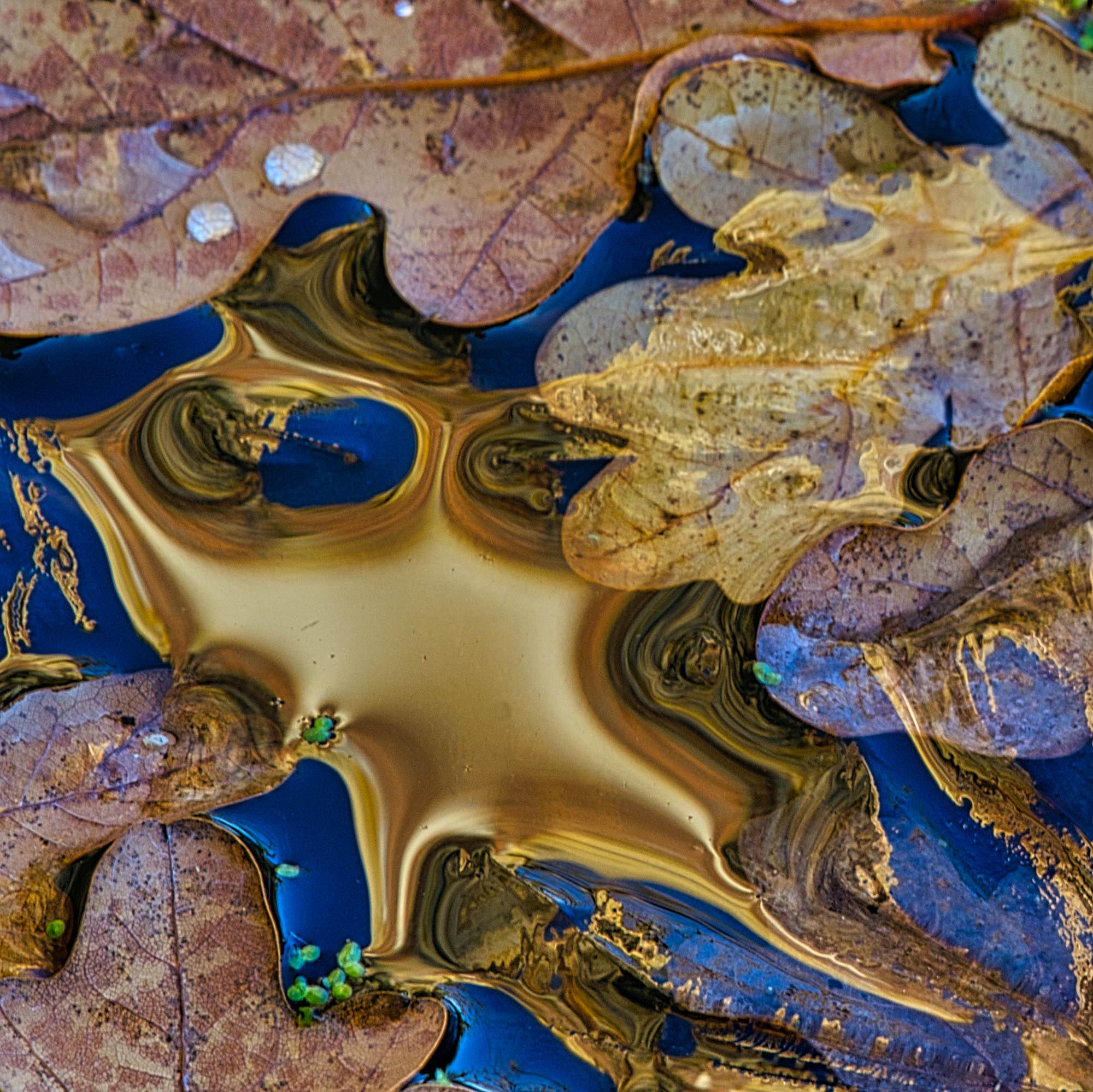  Liquid Gold II 