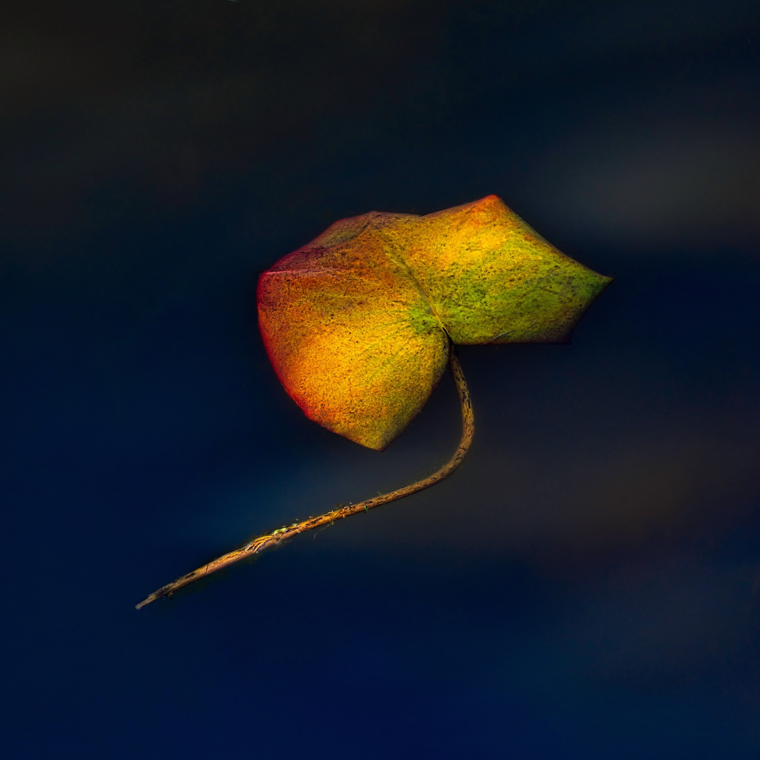 Drifting Away 
