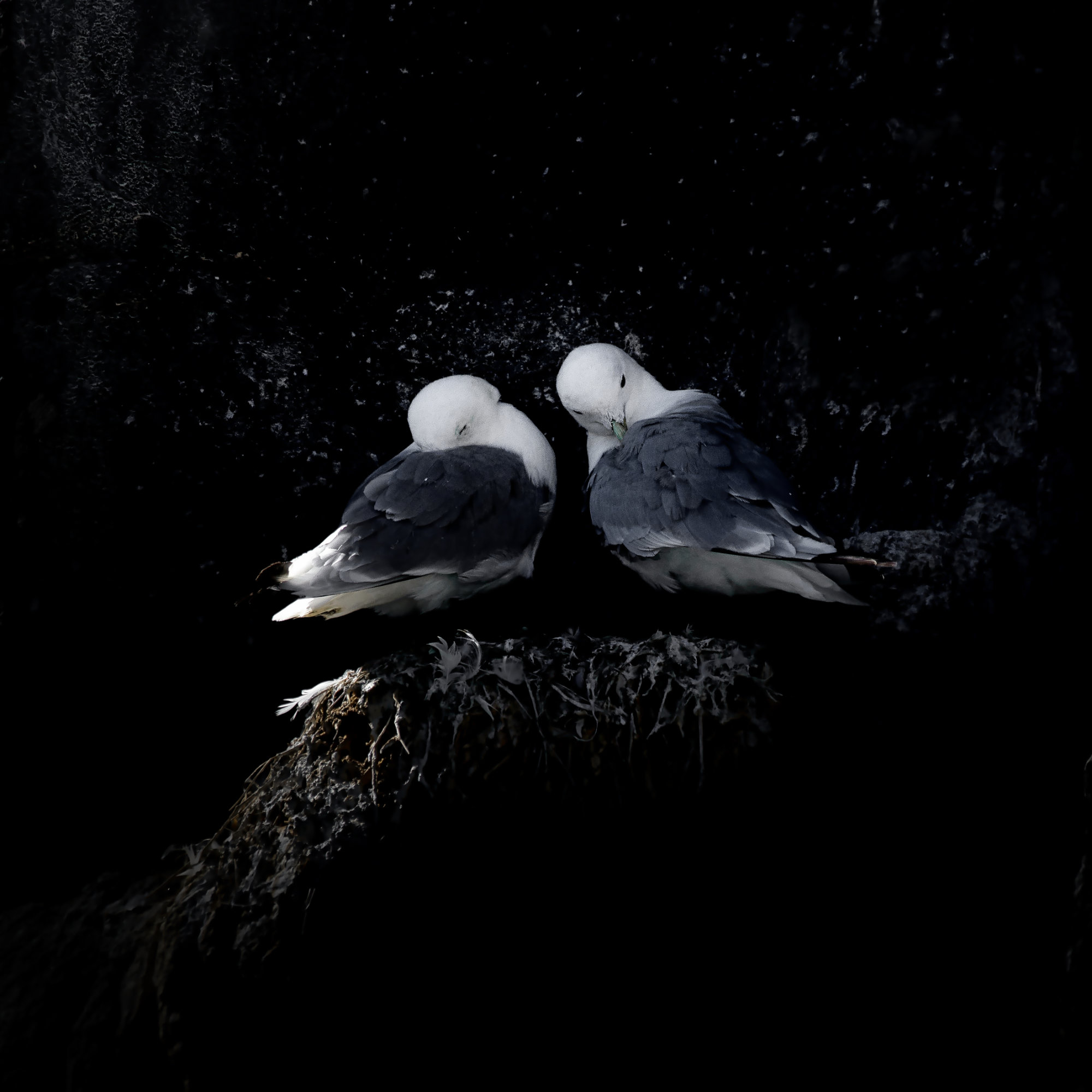  Made for Each Other 