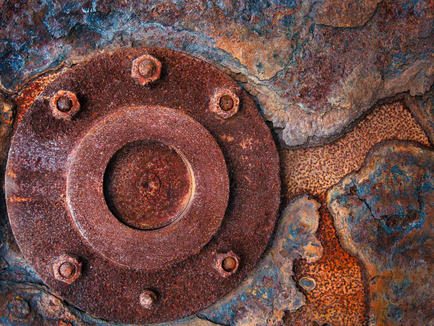  Beauty in Decay 