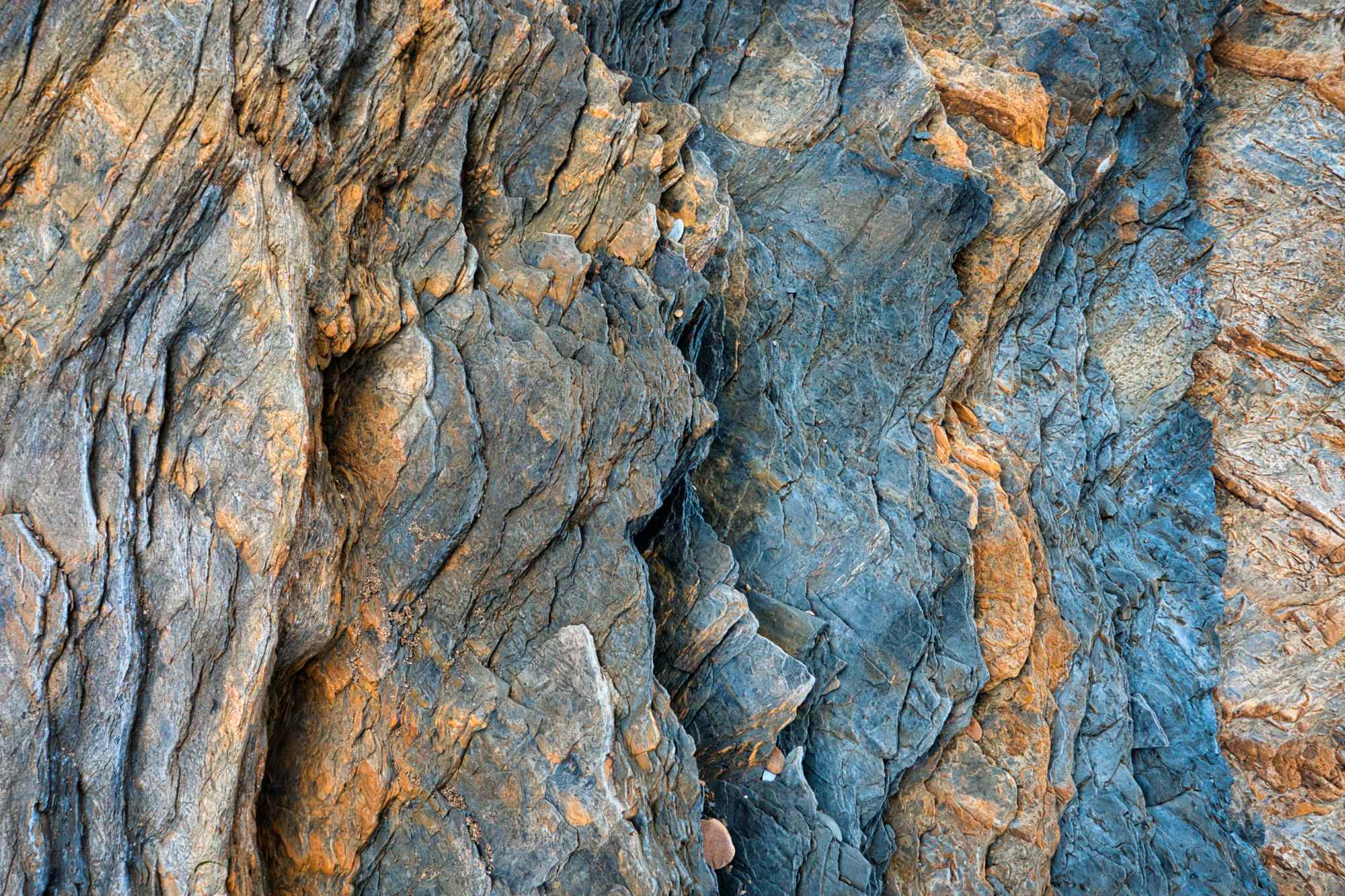  Scales 