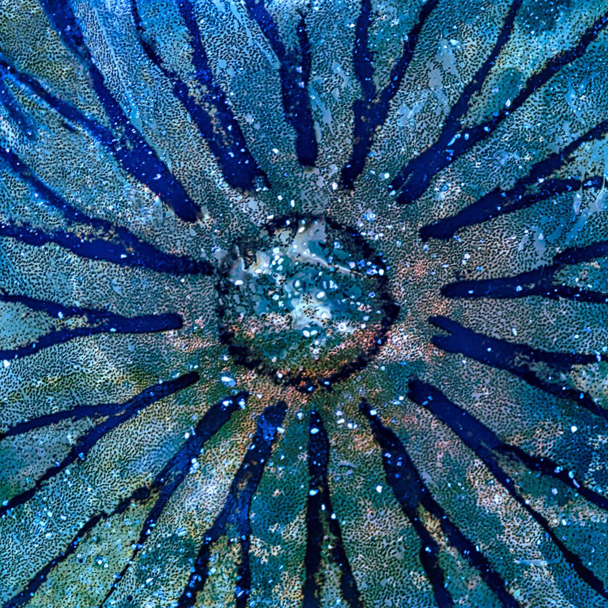  Kaleidoscope 