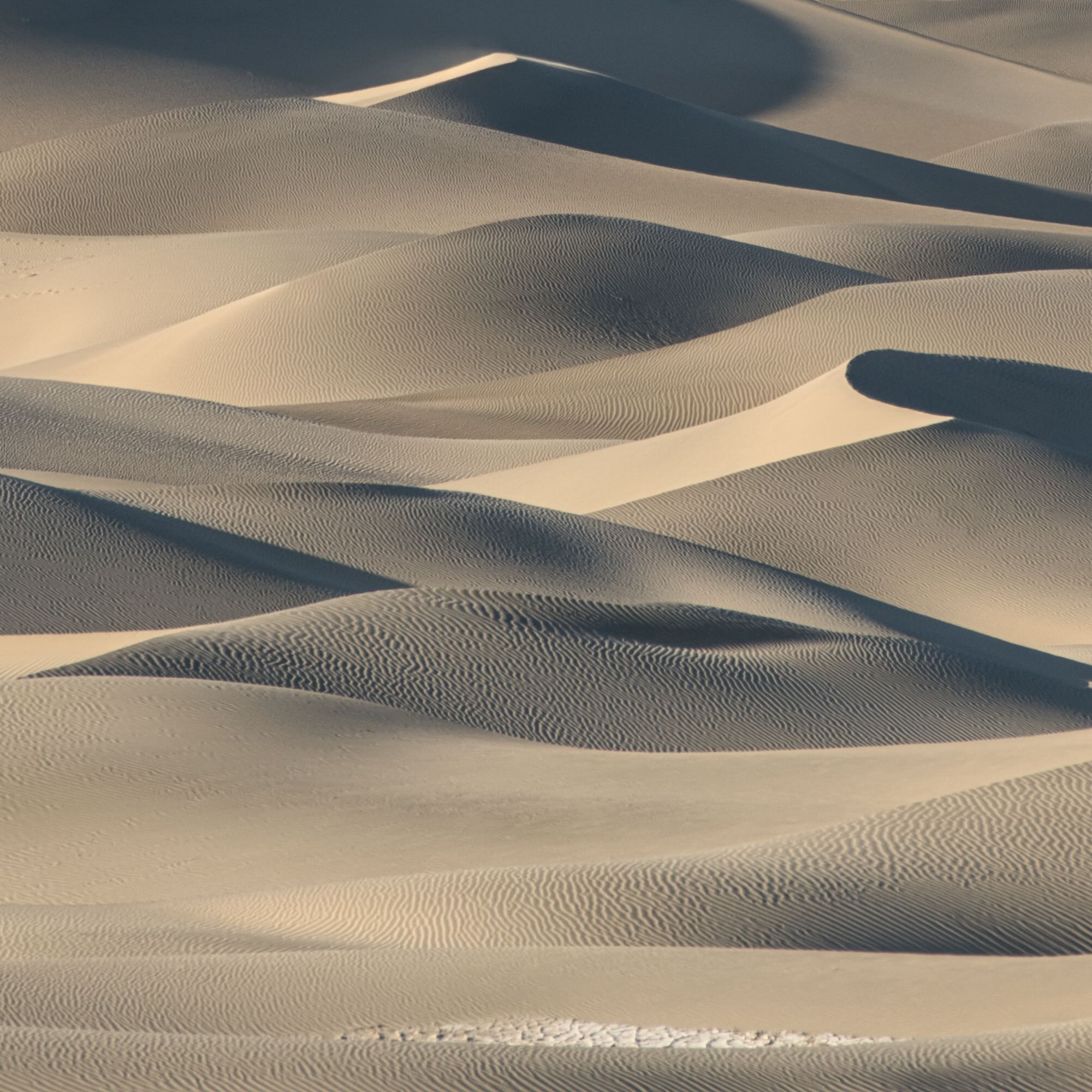  Sea of Dunes 