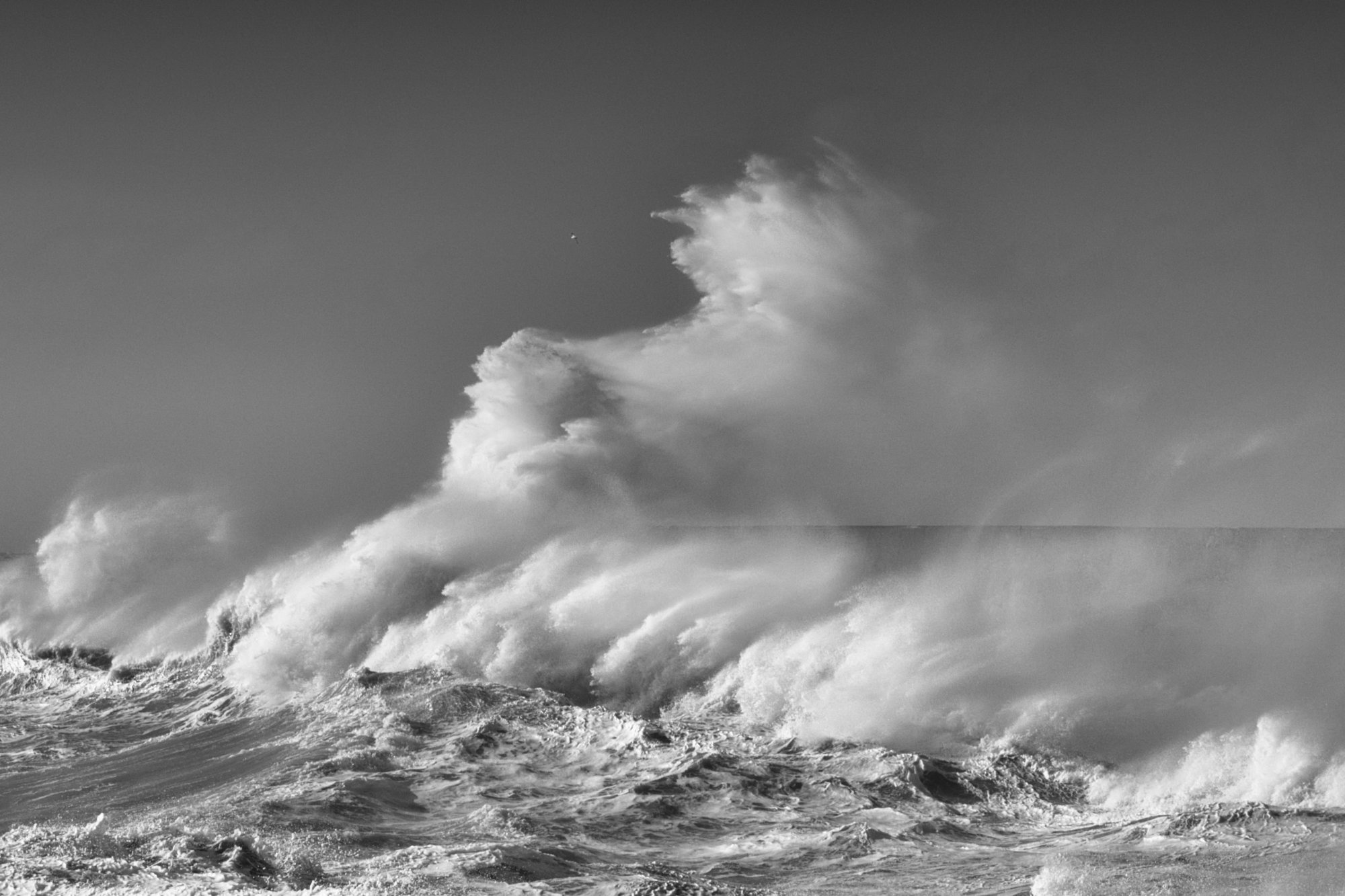 Windy! 