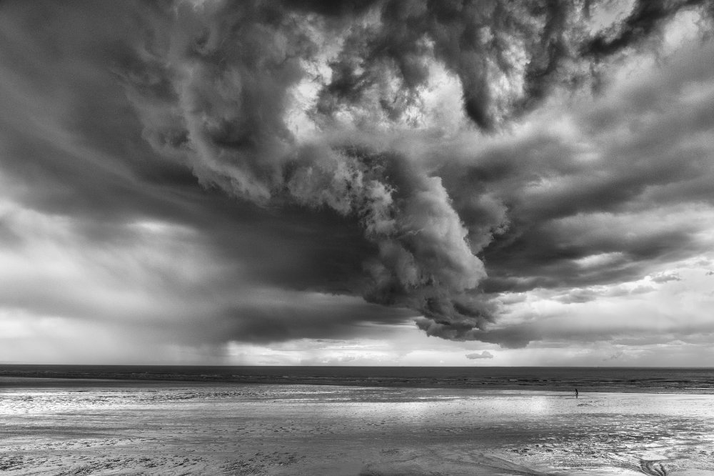 Stacks Image 282
