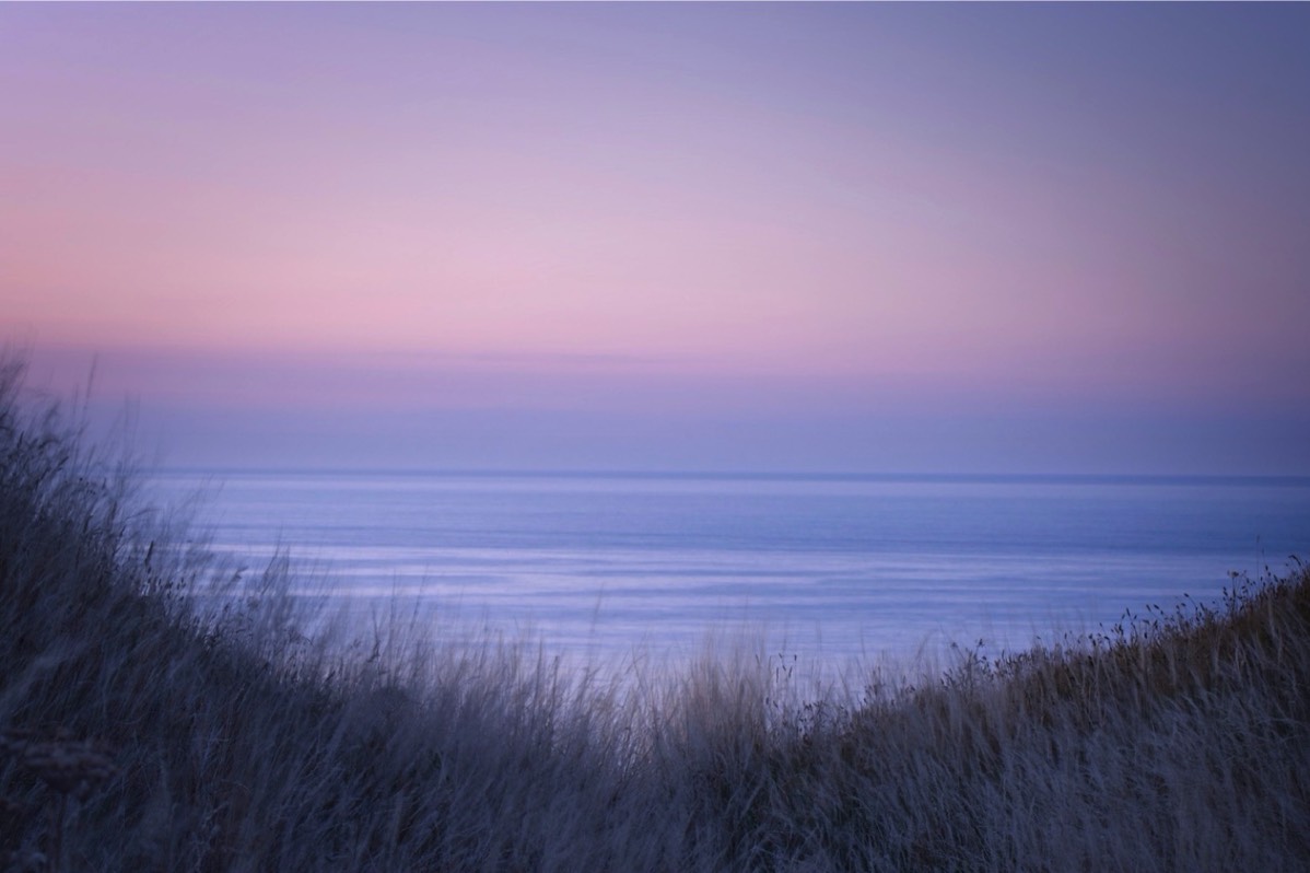 Stacks Image 486